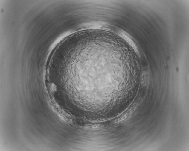 X0000087701051200705041058