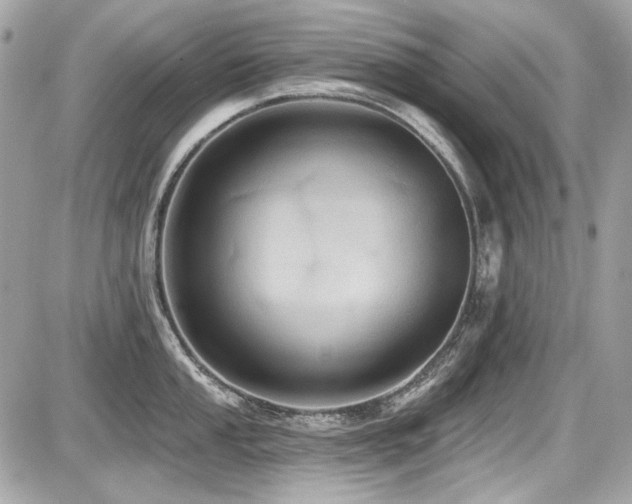 X0000087701053200705041058