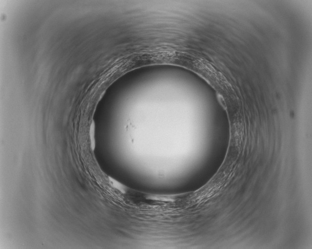 X0000087701057200705041057