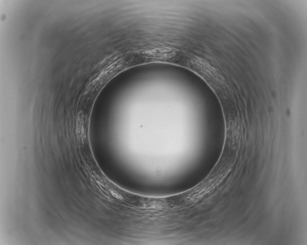 X0000087701058200705041057