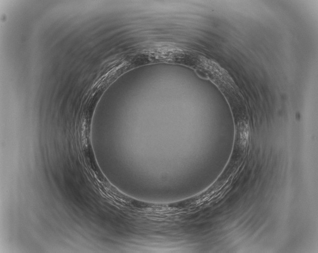 X0000087701060200705041057