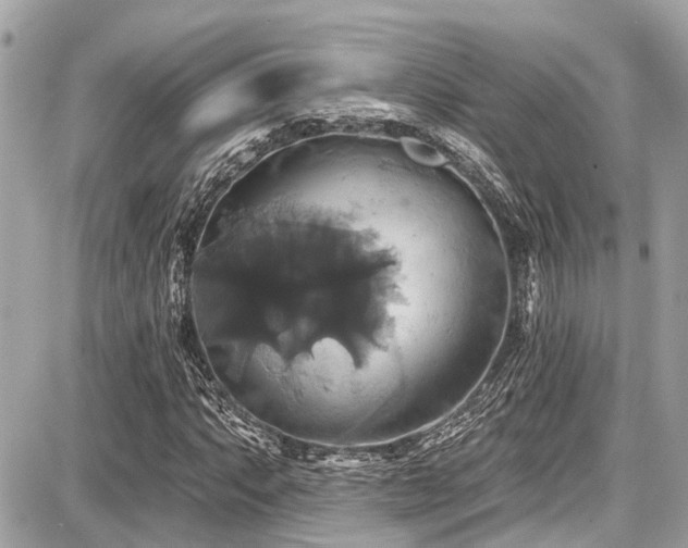 X0000087701063200705041057