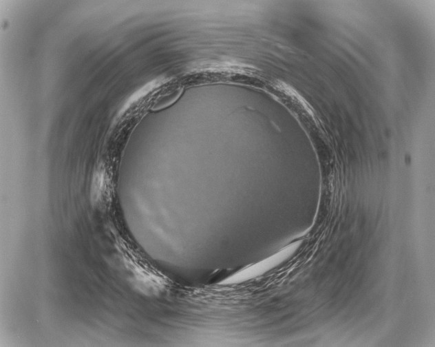 X0000087701064200705041057