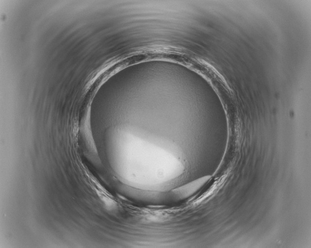 X0000087701065200705041057