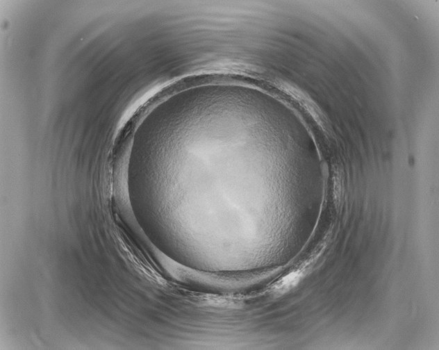 X0000087701069200705041057