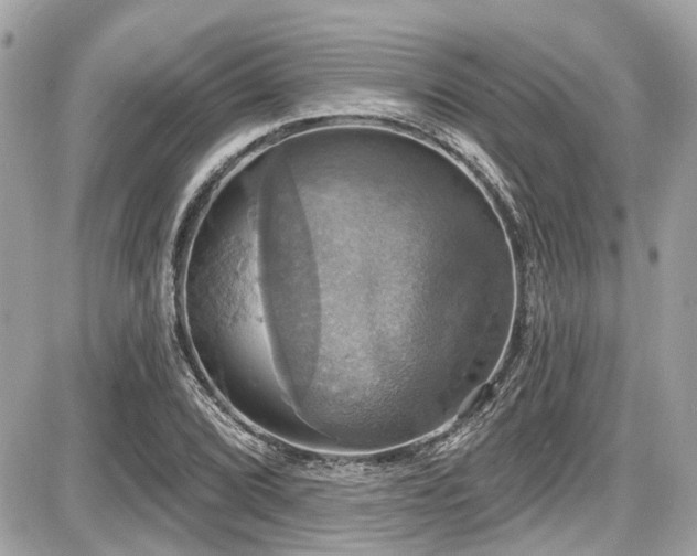 X0000087701072200705041057