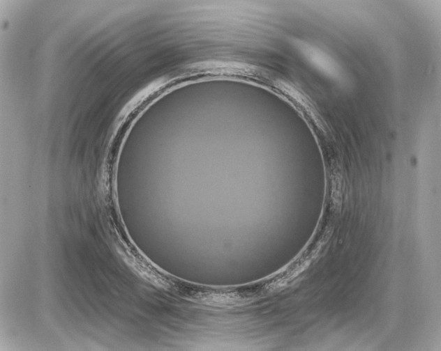 X0000087701074200705041057