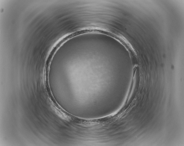 X0000087701076200705041057