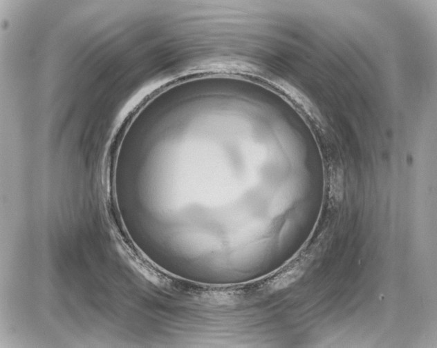 X0000087701078200705041057