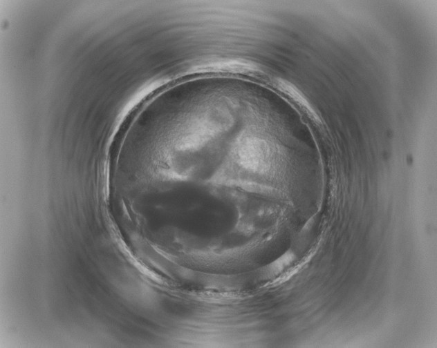 X0000087701079200705041057