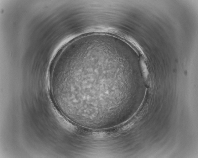 X0000087701080200705041057