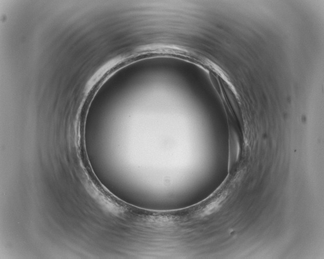 X0000087701082200705041057