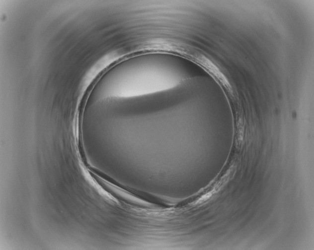 X0000087701084200705041057