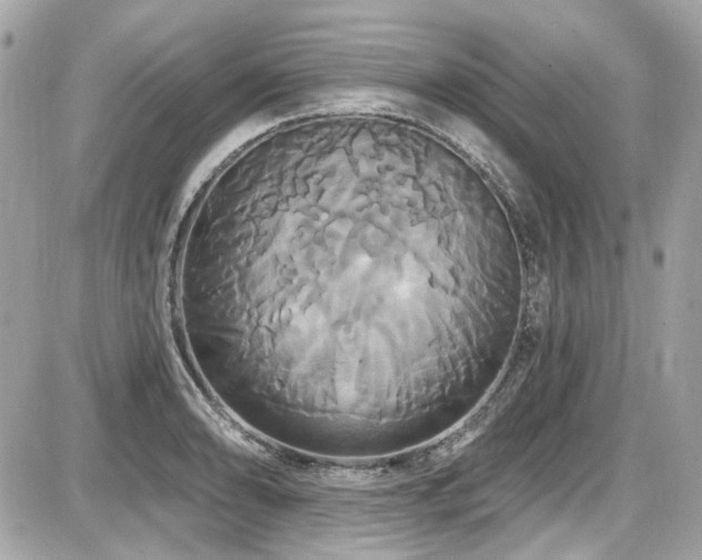 X0000087701086200705041057