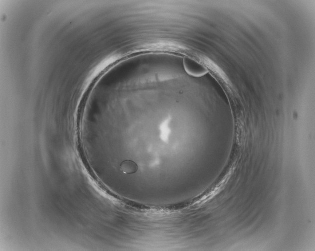 X0000087701087200705041057