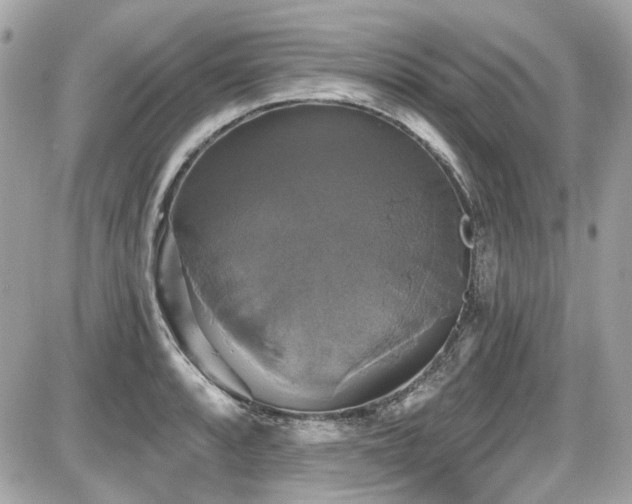 X0000087701088200705041057