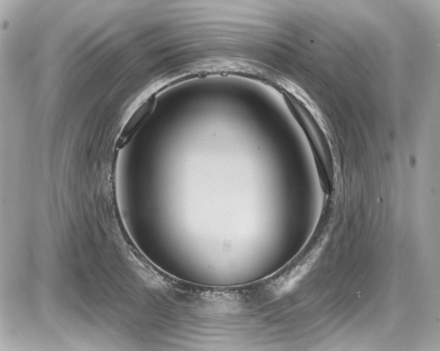 X0000087701089200705041057