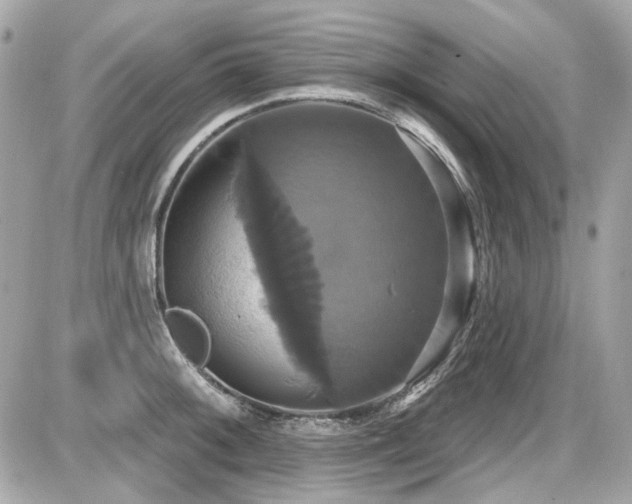 X0000087701092200705041057