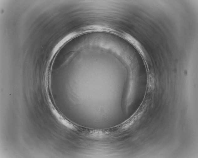 X0000087701098200705041057