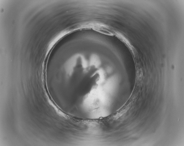 X0000087701103200705041056