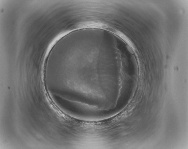 X0000087701104200705041056