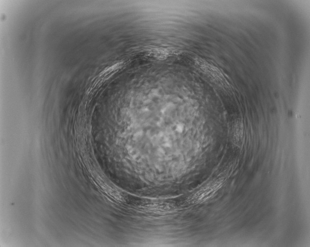 X0000087701105200705041056
