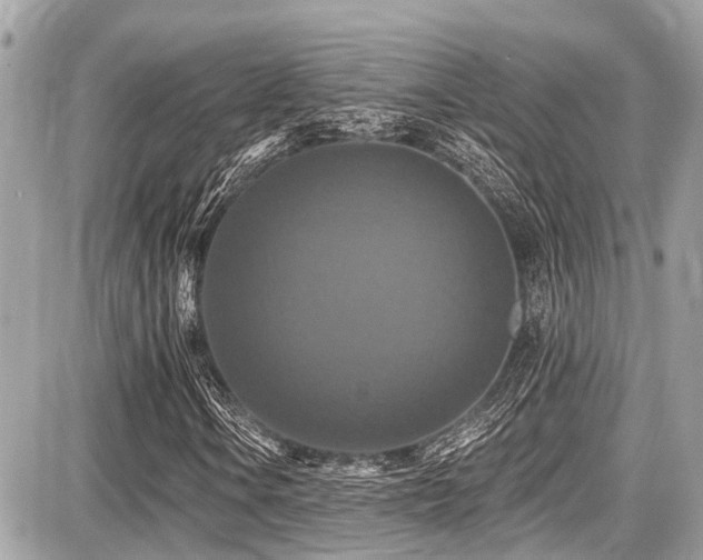 X0000087701106200705041056