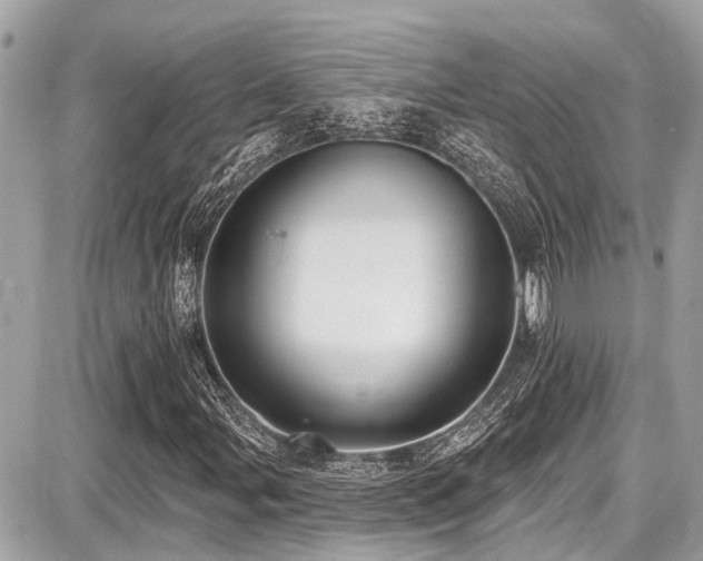 X0000087701107200705041056