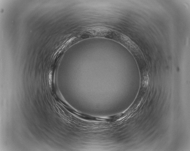 X0000087701108200705041056