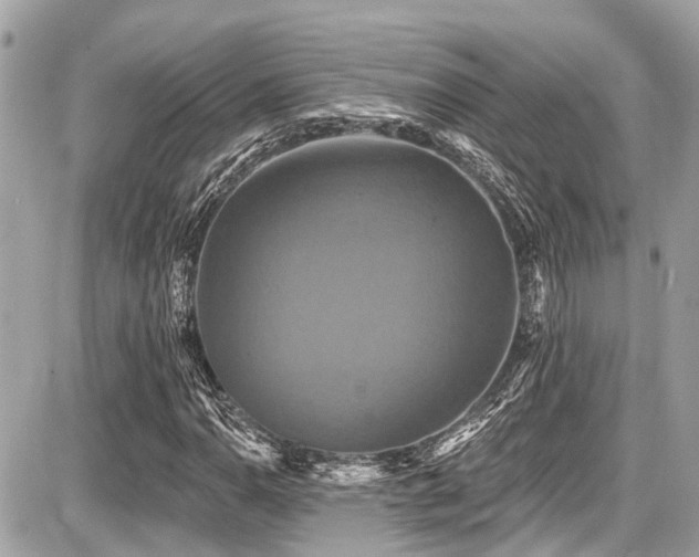 X0000087701110200705041056