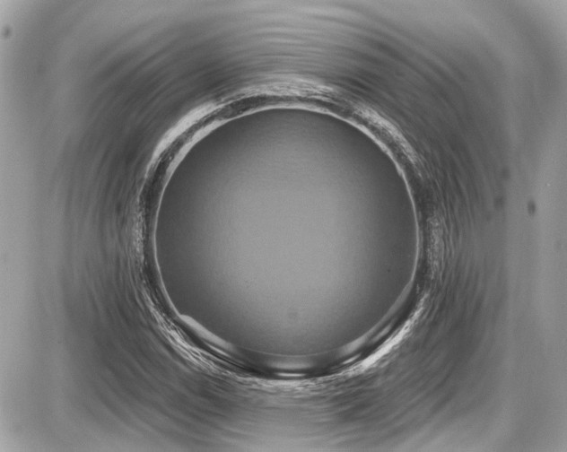 X0000087701114200705041056