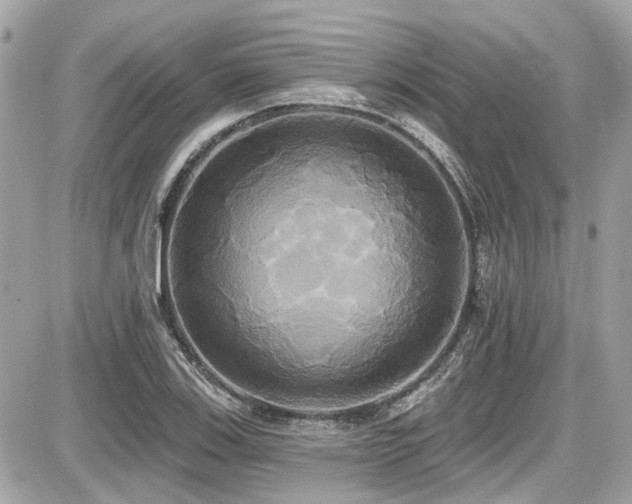 X0000087701123200705041056