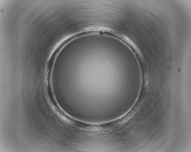 X0000087701124200705041056