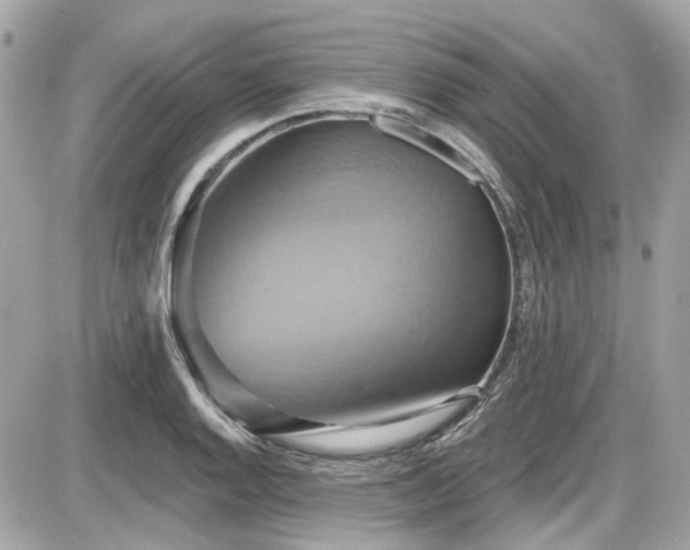 X0000087701128200705041056