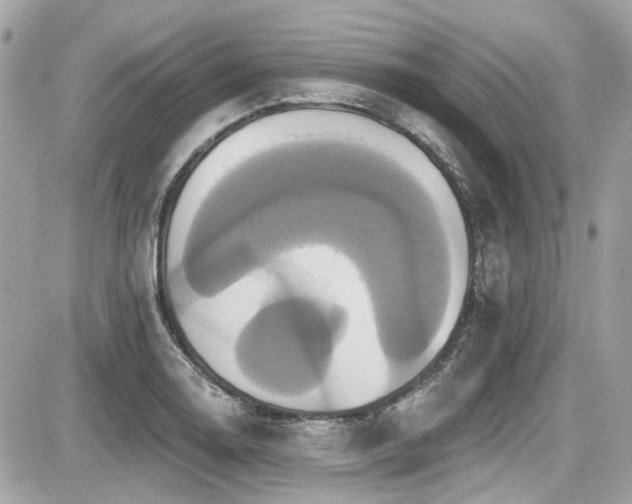 X0000087701130200705041056