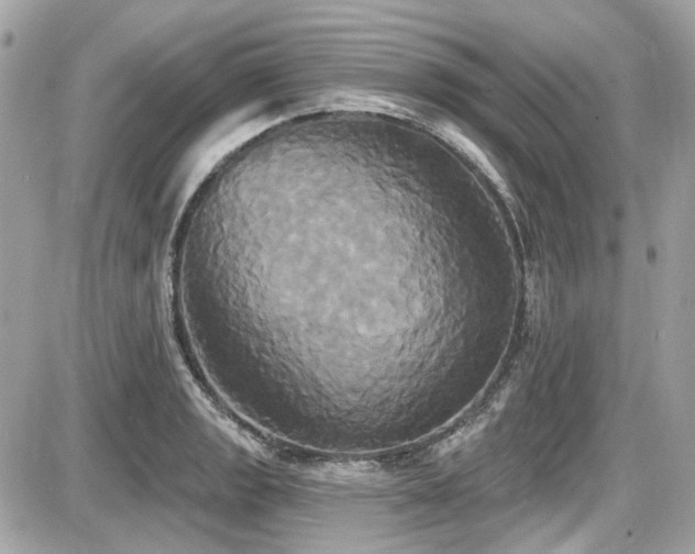 X0000087701133200705041056