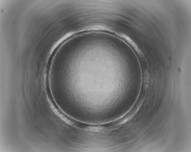X0000087701134200705041056
