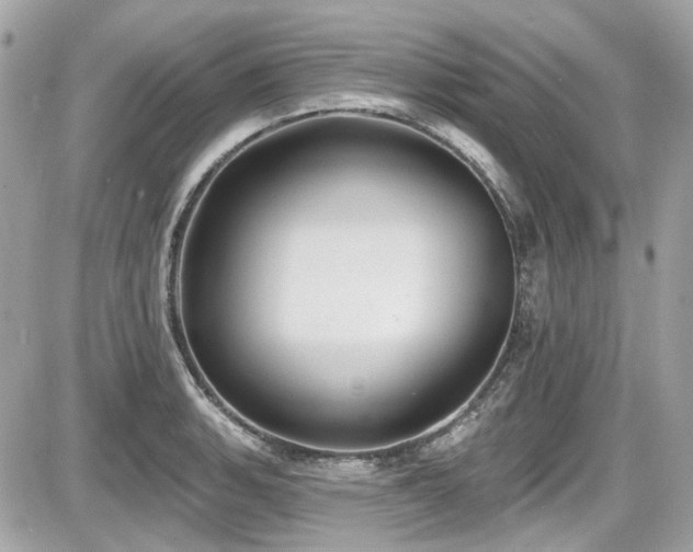 X0000087701135200705041056