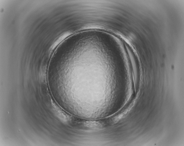 X0000087701137200705041056