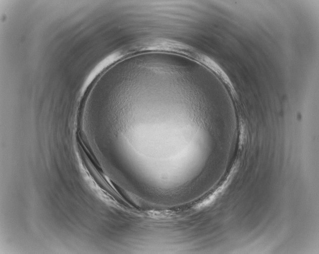 X0000087701138200705041056