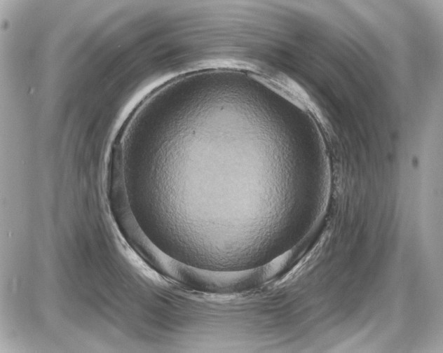 X0000087701140200705041056