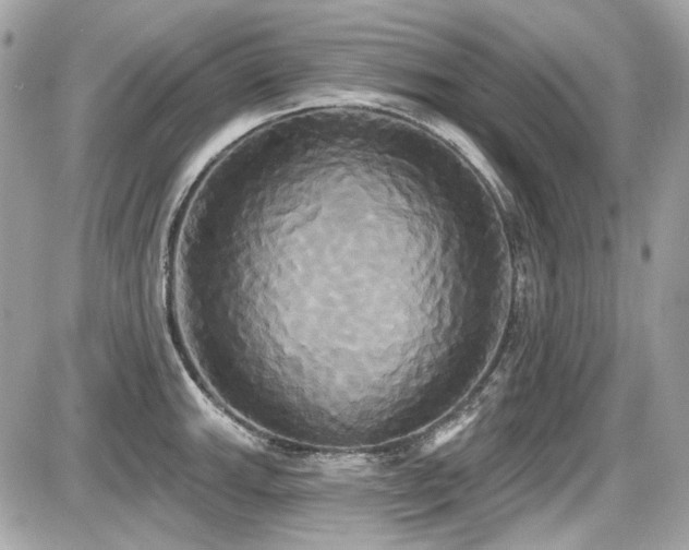 X0000087701143200705041056
