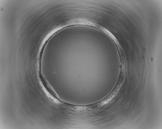X0000087701144200705041056