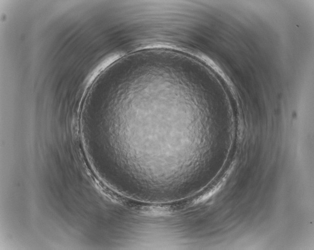 X0000087701145200705041056