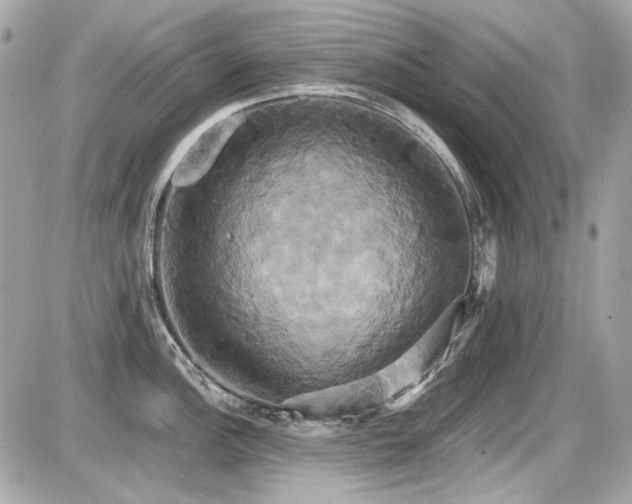 X0000087701148200705041056