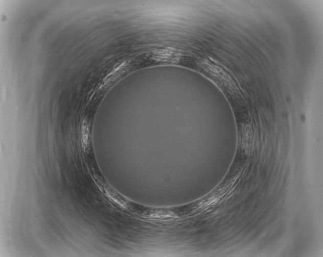 X0000087701154200705041056