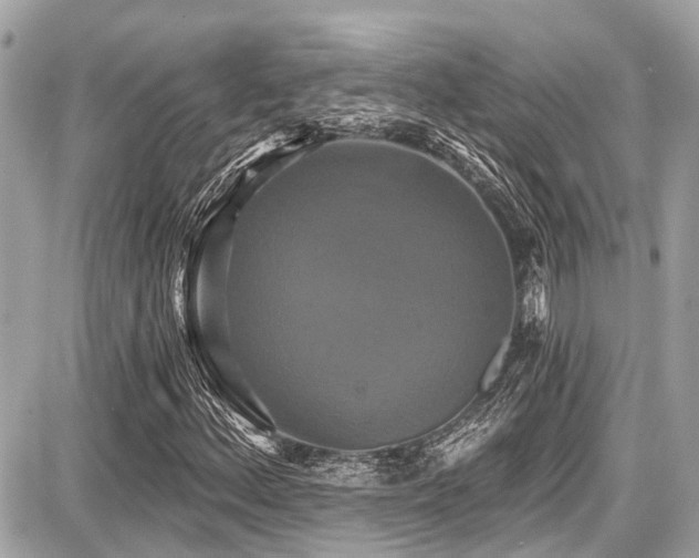 X0000087701156200705041056