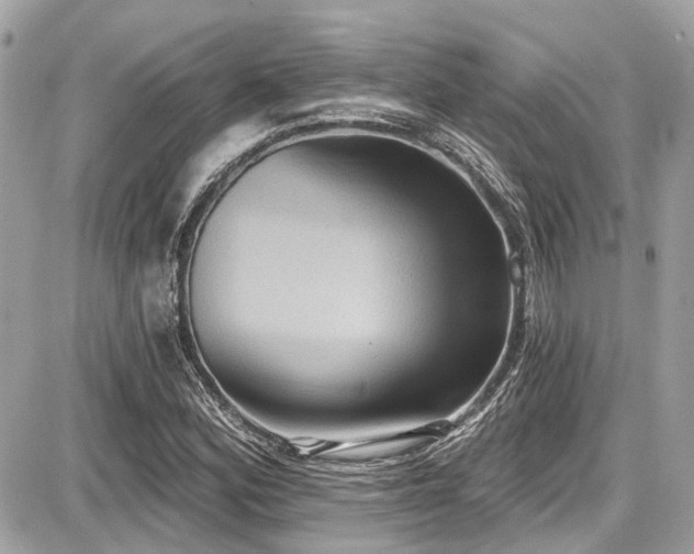 X0000087701164200705041055