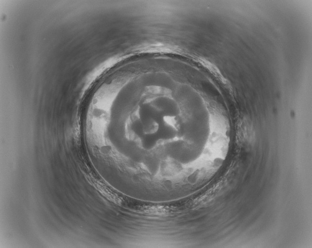 X0000087701167200705041055