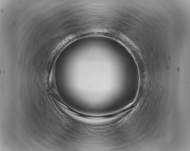 X0000087701169200705041055